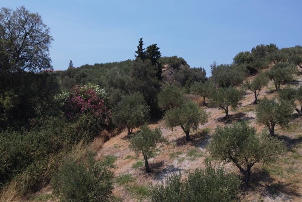 Kréta, Kalyves: Tágas telek tengerre néző kilátással eladó