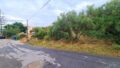 Kreta, Kounoupidiana: Grundstück in begehrter Lage zu verkaufen