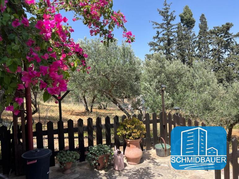 Kreta, Alithini: Ferienhaus inmitten eines Olivenhains zu verkaufen