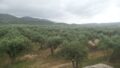 Kreta, Trachilos: Investitionsprojekt - 3 Rohbau-Villen zu verkaufen