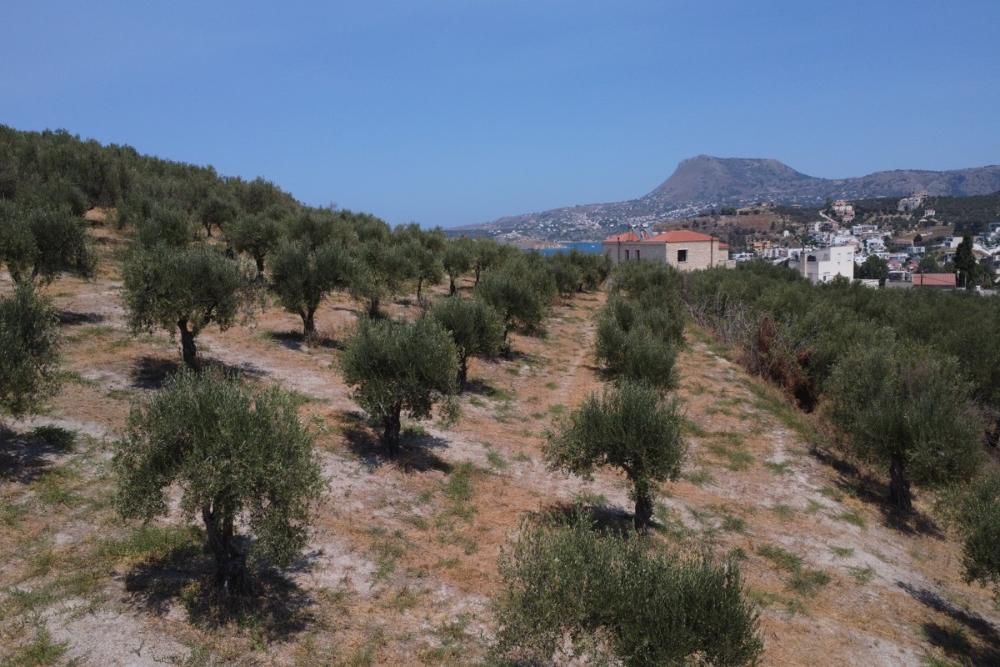 Kréta, Kalyves: Tágas telek tengerre néző kilátással eladó