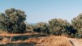 Kreta, Ag. Triada Rethymno: Neubau-Projekt! Moderne Villa zu verkaufen