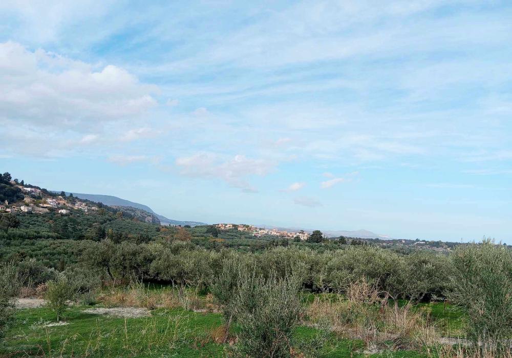 Kreta, Pemonia: Grundstück innerhalb der Siedlung zu verkaufen