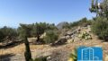 Kreta, Plakias: Villa mit spektakulärem Meerblick im Süden zu verkaufen