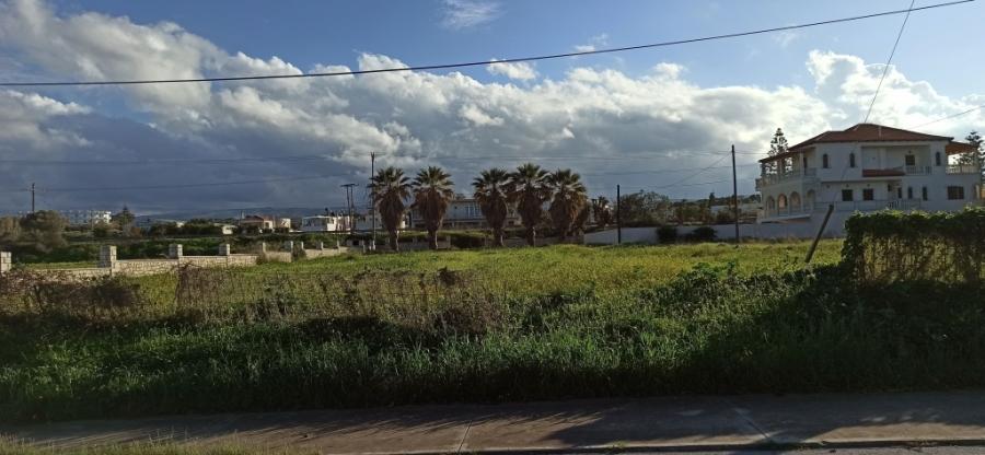 Kreta, Pigianos Kampos: Grundstück in unmittelbarer Meeresnähe bei Rethymno zu verkaufen