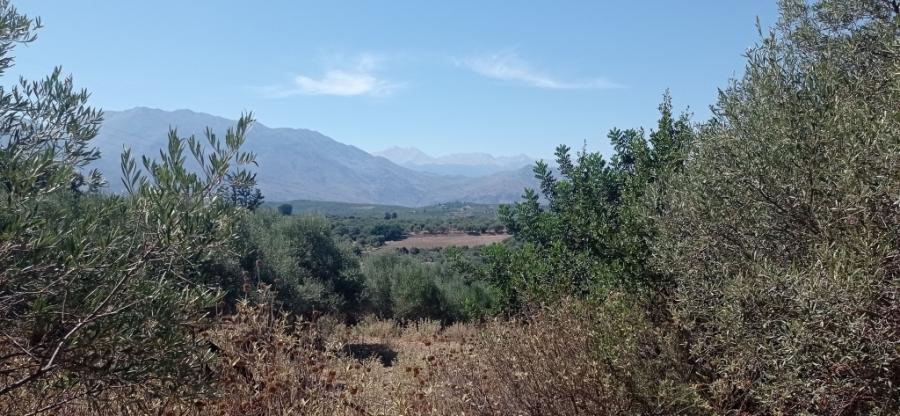 Kreta, Episkopi: Wunderschönes Grundstück mit Meerblick und Baugenehmigung zu verkaufen