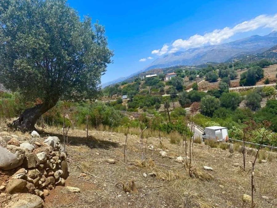 Kreta, Agia Galini: Erstklassiges Grundstück mit Meerblick zu verkaufen