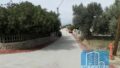 Südkreta, Agia Paraskevi: Zweistöckiges traditionelles Steinhaus zu verkaufen