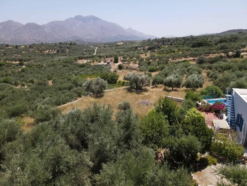 Kreta, Choumeri: Freistehendes Haus mit großem Garten zum Verkauf