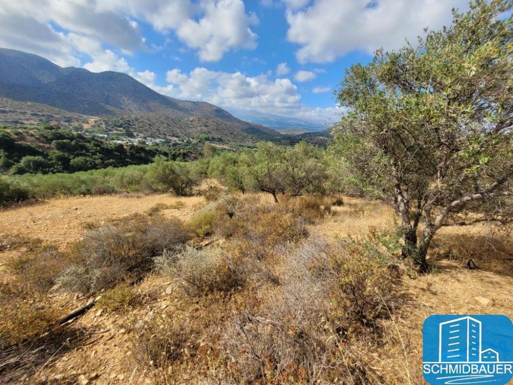 Crete, Exantis: ขายที่ดินขนาดใหญ่เพียง 3 กม. จากบาหลีและชายหาด
