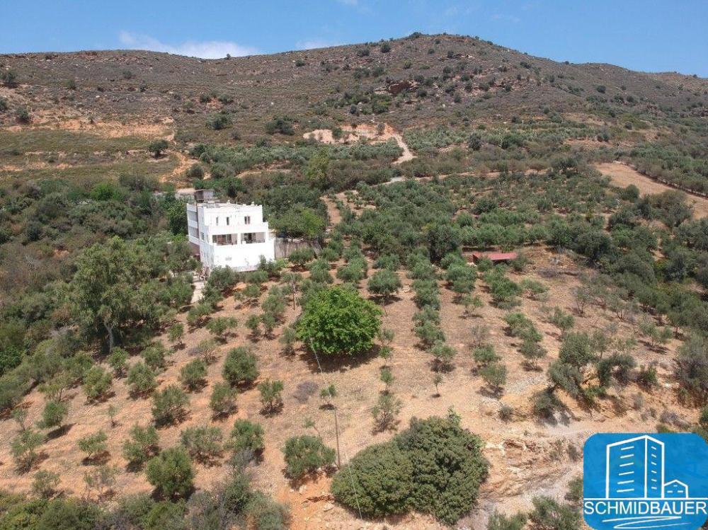 Großes Haus geeignet für ein kleines Hotel, ein Geschäft, ein Restaurant usw. oder für eine Privatunterkunft auf Kreta