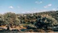 Kreta, Ag. Triada Rethymno: Neubau-Projekt! Moderne Villa zu verkaufen