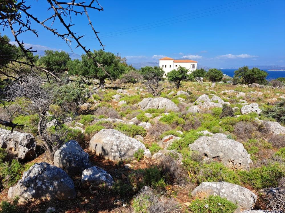 Kreta, Kokkino Chorio: Bebaubares Grundstück mit Meerblick zu verkaufen