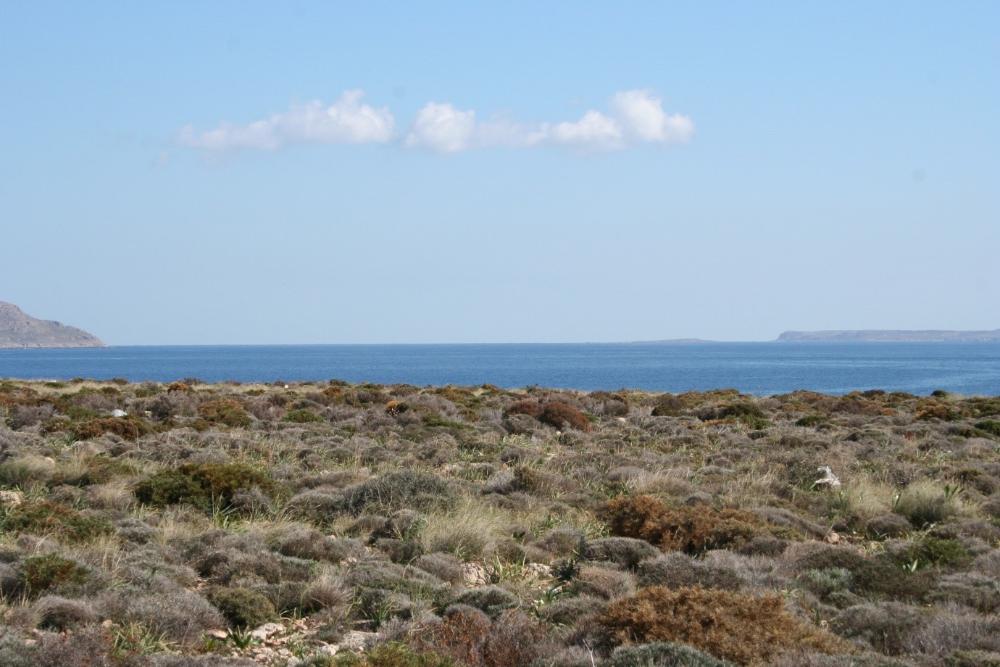 Südostkreta, Kalo Nero: Erstklassiges Baugrundstück direkt am Meer zu verkaufen