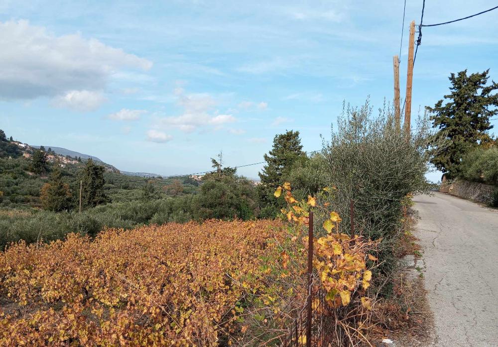 Kreta, Pemonia: Grundstück innerhalb der Siedlung zu verkaufen